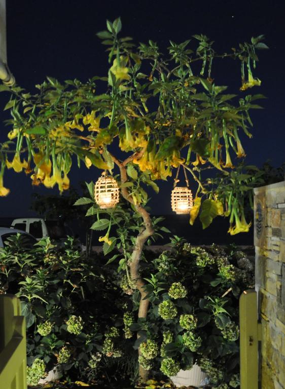 Studios Yalos Apartment Chorefton