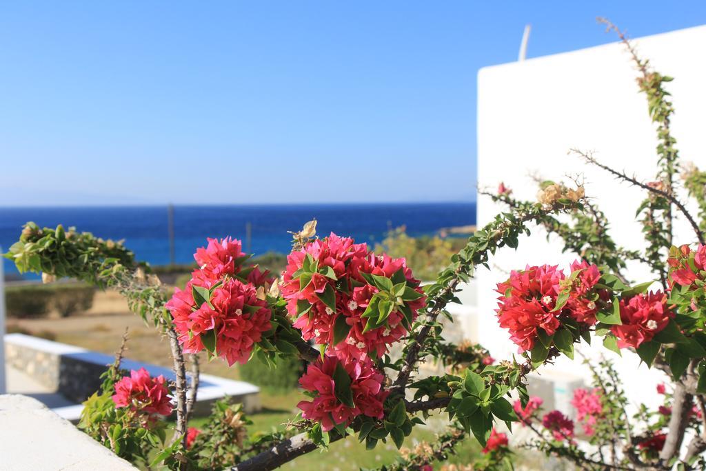 Apartment Glyfa Village