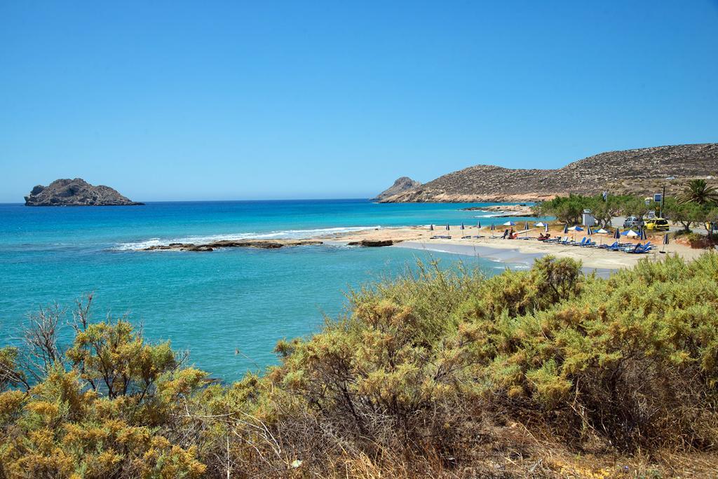 Ammothines * Xerokampos (Crete)
