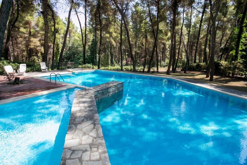 Kallisti In Sani * Sani (Chalkidiki)
