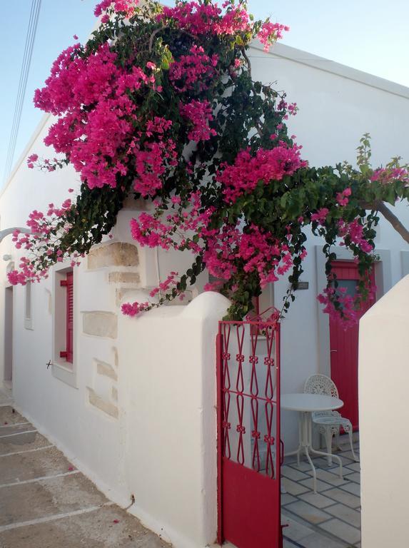 Margo Apartment Antiparos
