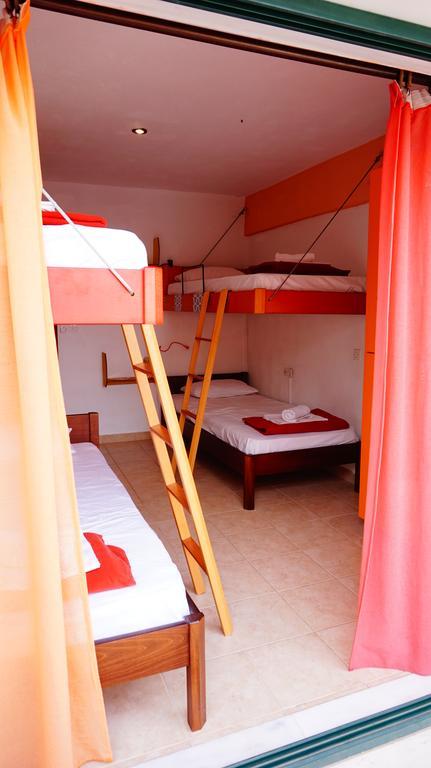 The White Rabbit Hostel