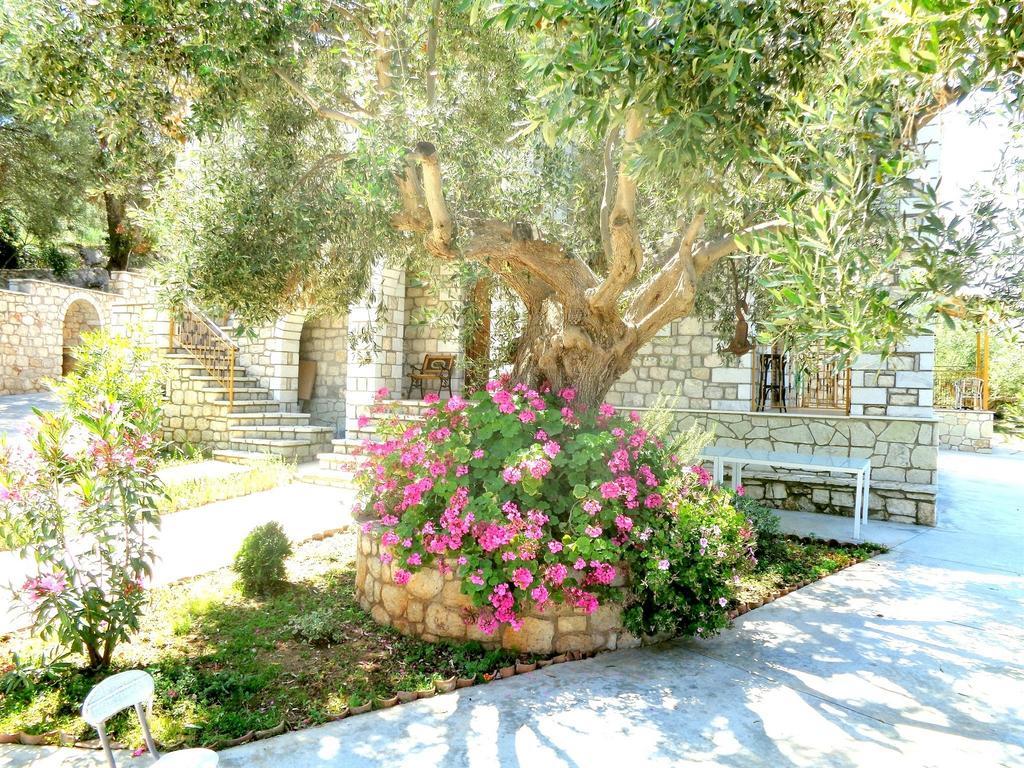 Menina Farm Country house