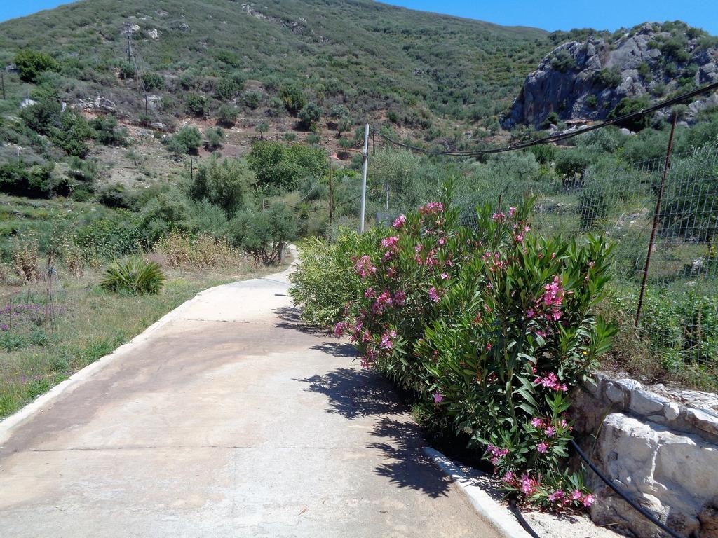 Country house Menina Farm