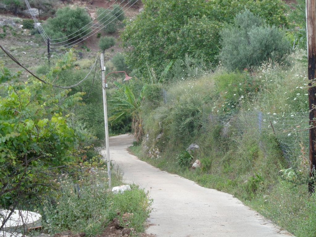 Menina Farm Country house Perivolakia