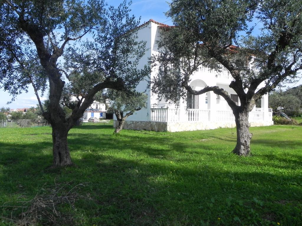 Explorer's Rest Argassi