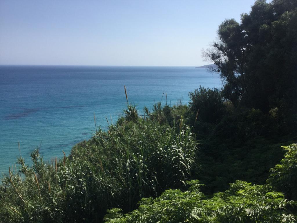 Nefeli Trapezaki (Kefalonia)
