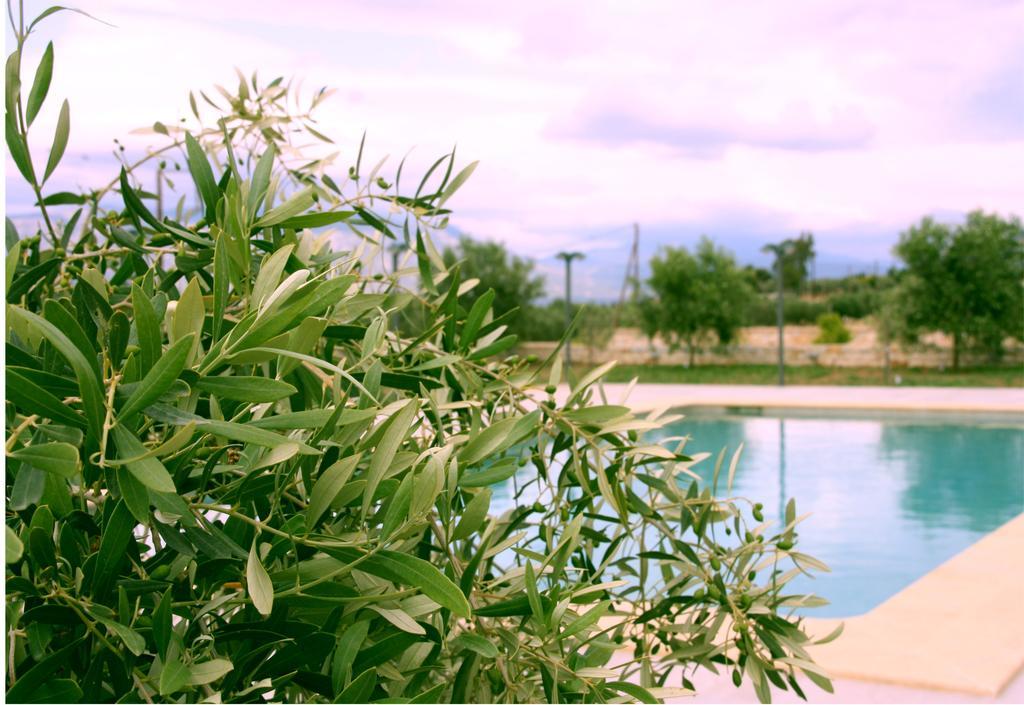 Petra Luxury And Apartment