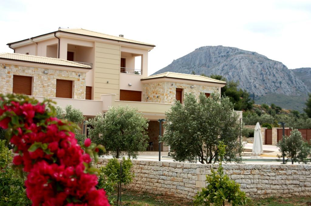 Petra Luxury And *