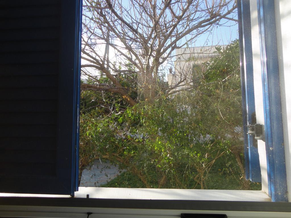 Holiday home Alexandros House *