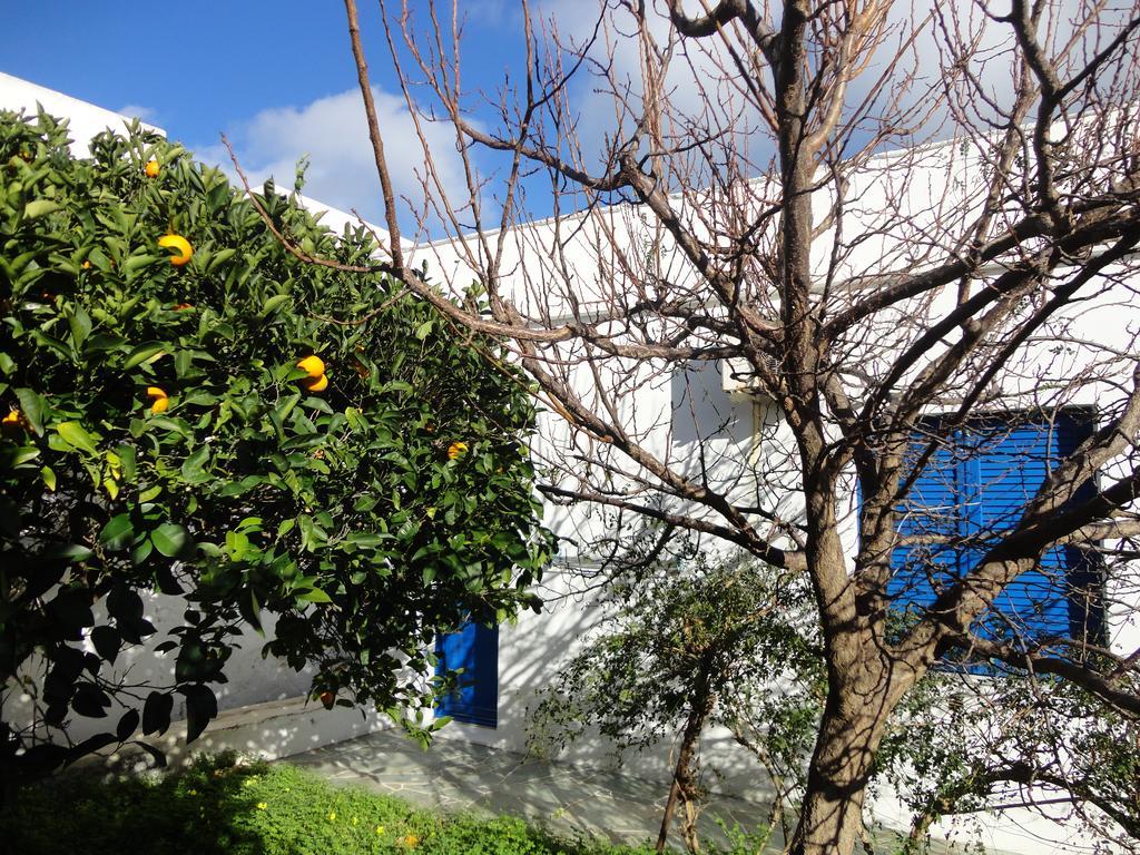 Alexandros House Holiday home