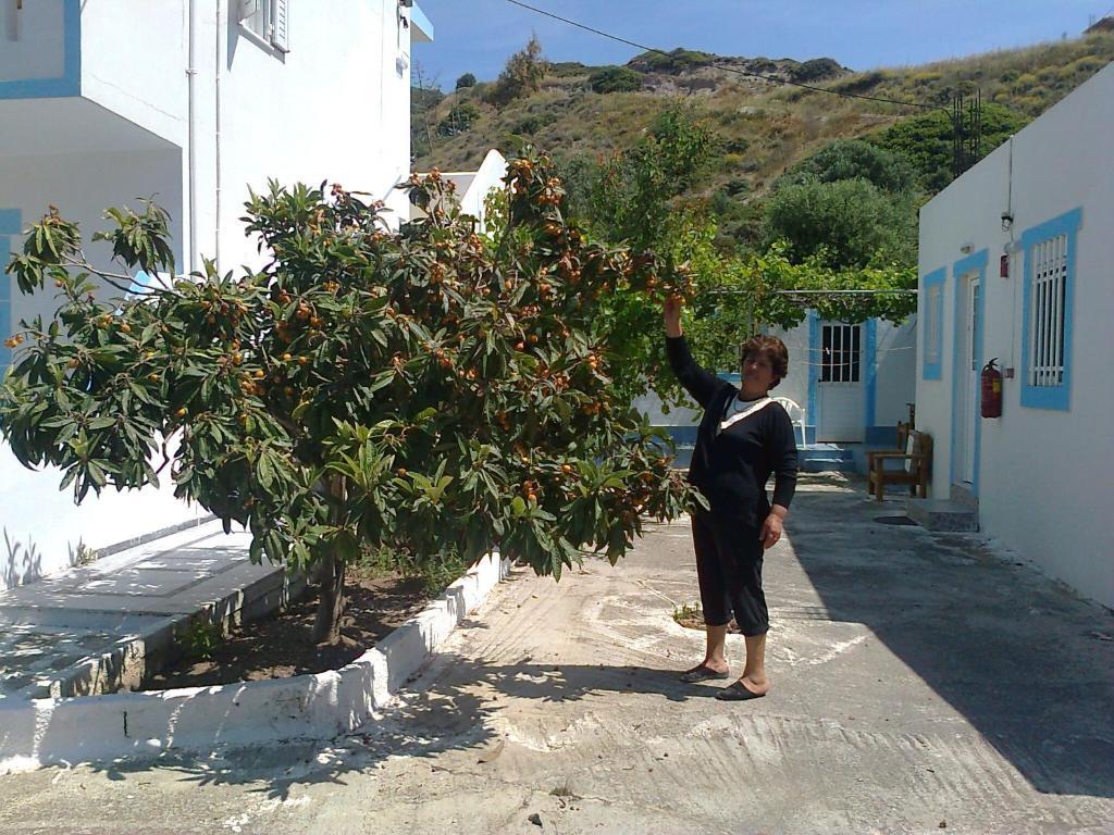 Apartment Dionysia