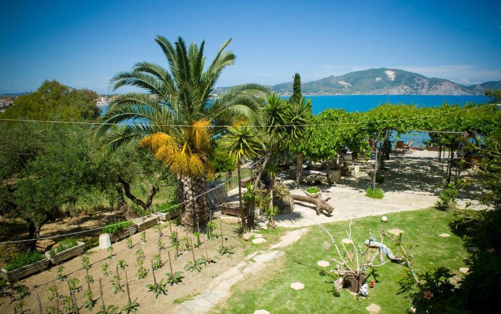 Koklas Apartment Lithakia (Zakynthos)