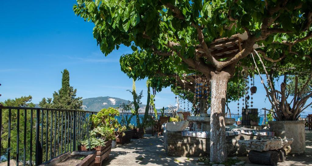 Koklas Lithakia (Zakynthos)