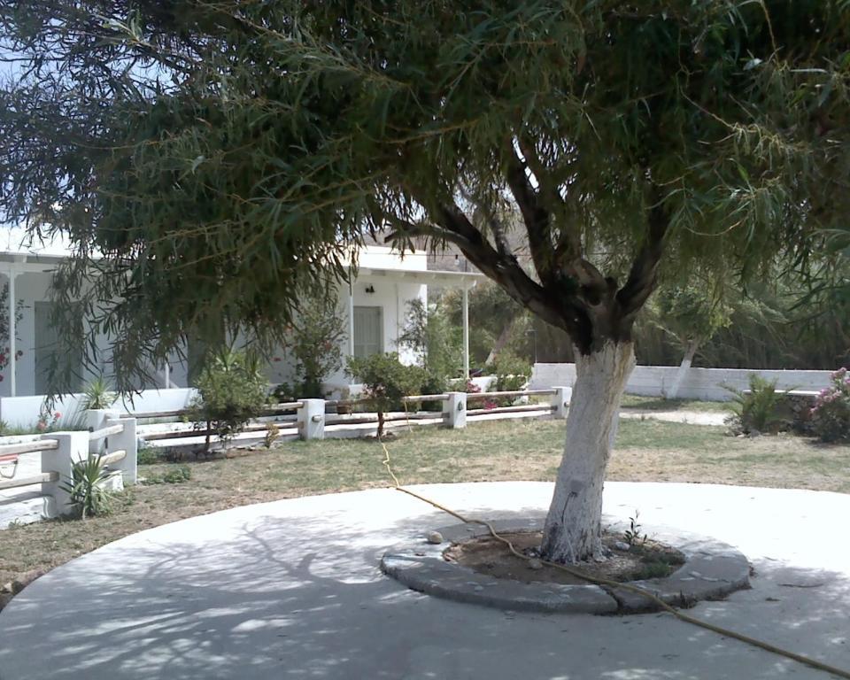 Isalos Hotel Livadi (Serifos)