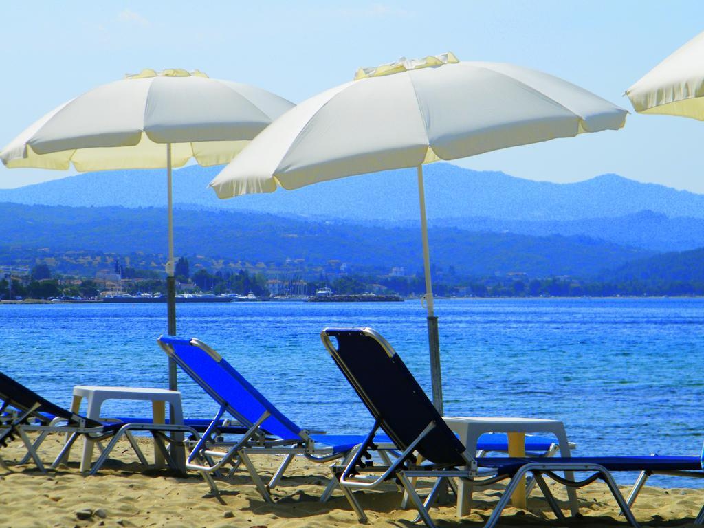 Maras Marinas Open All Year * Nikiti (Sithonia)