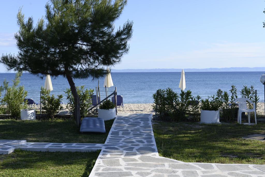 Maras Marinas Open All Year * Nikiti (Sithonia)