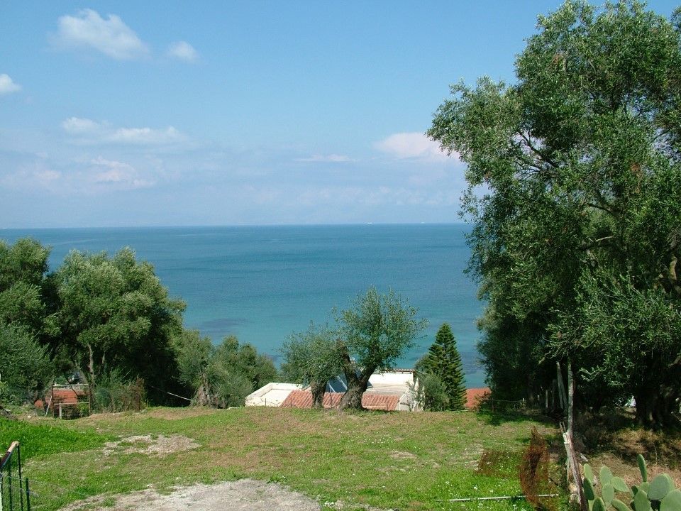 Vlassis