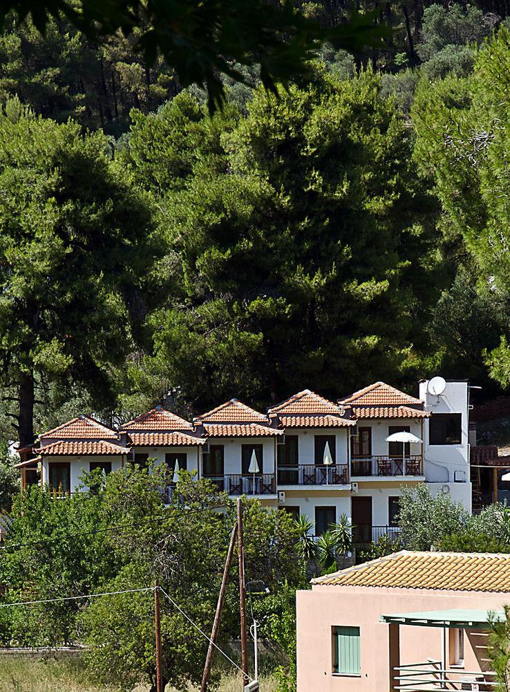 Pine Trees Agnontas