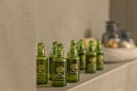 Apartment Aloe & Rethymno (Crete)