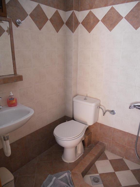 Alexandros Apartment Sarti