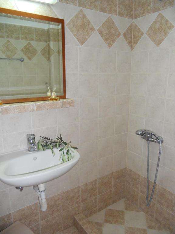 Alexandros Apartment Sarti