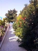 Seaside Stalida