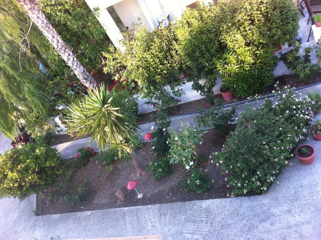 Manine Aparthotel 2*