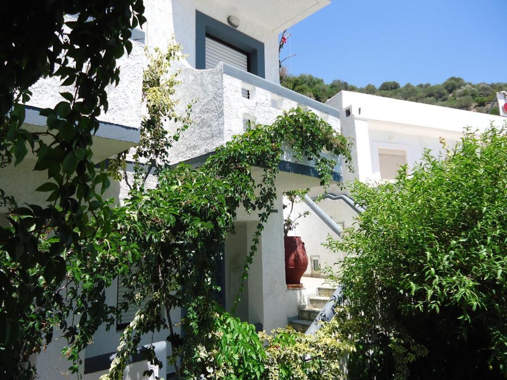 Fevro Agia Galini (Crete)