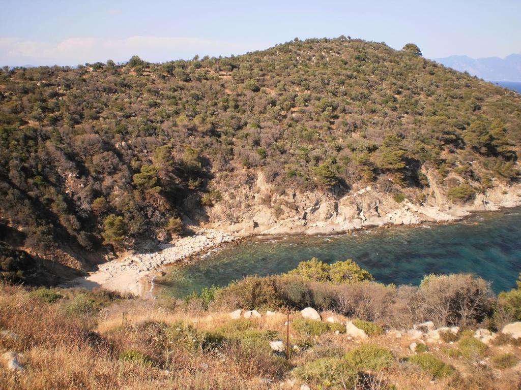 Vergina Sarti