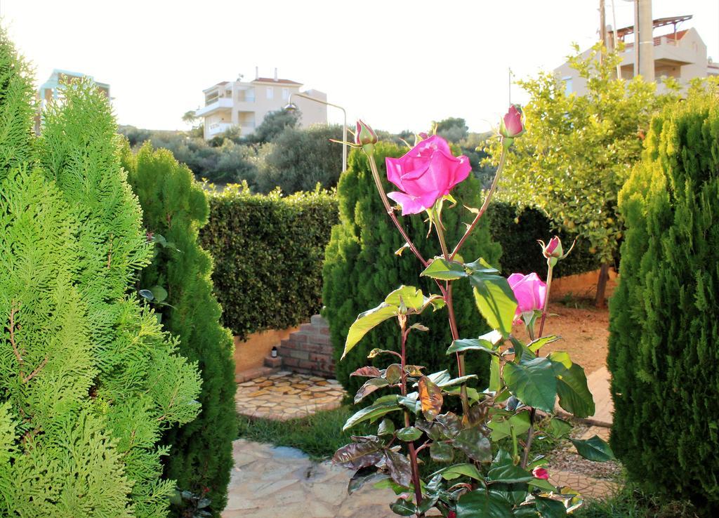 Apartment Helen's Sounio