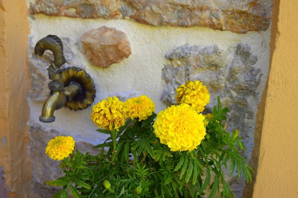 Holiday home Tilemachos Traditional House