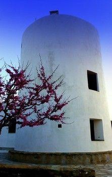 Apartment Windmill Complex *