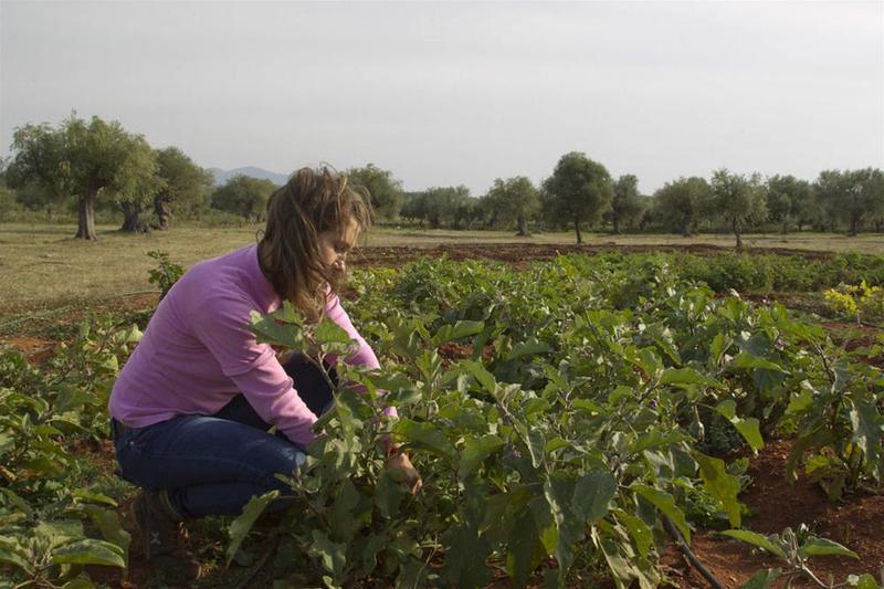 Eumelia Organic Agrotourism Farm & Sparta