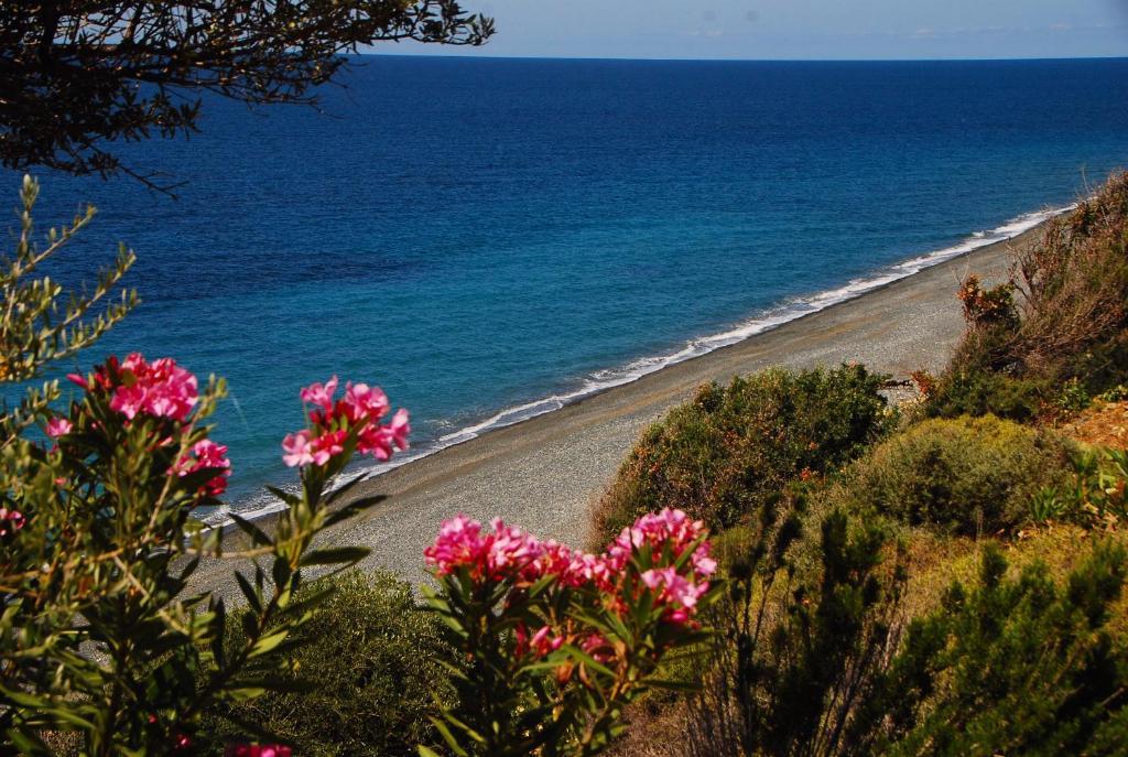 Aparthotel Samothraki Boutique Makrilies