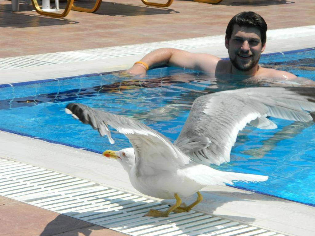 Hotel Andreas - Agistri Skala (Agistri)