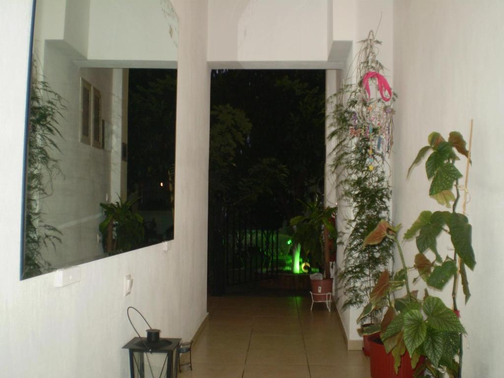 Zoi