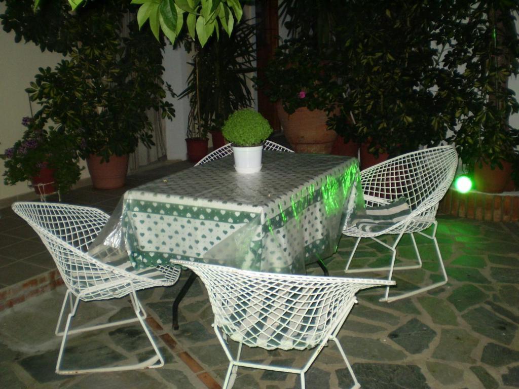 Zoi Skiathos Town
