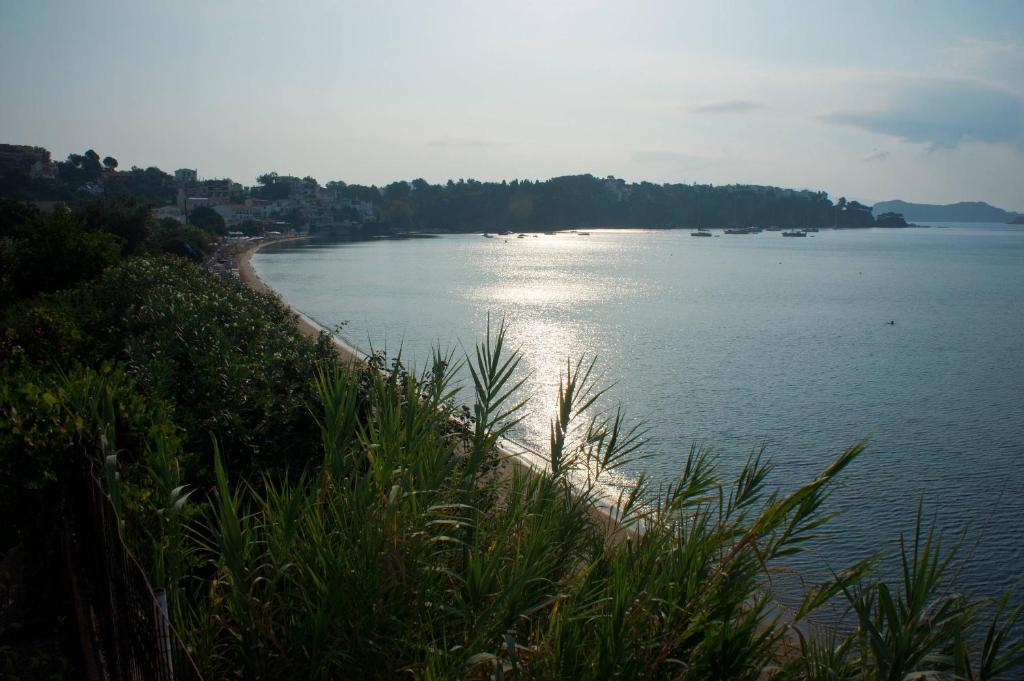 Aphrodite Skiathos Apartment *