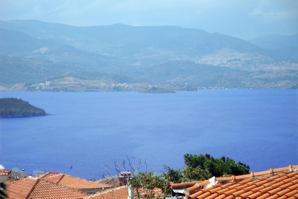 Molyvos Queen *