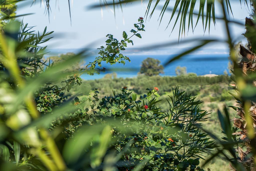 Farm stay Myrties Stone - Ta Petrina Vasilikos (Zakynthos)