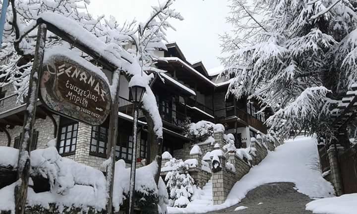 Guest house Xenonas Brizi Elati (Trikala)