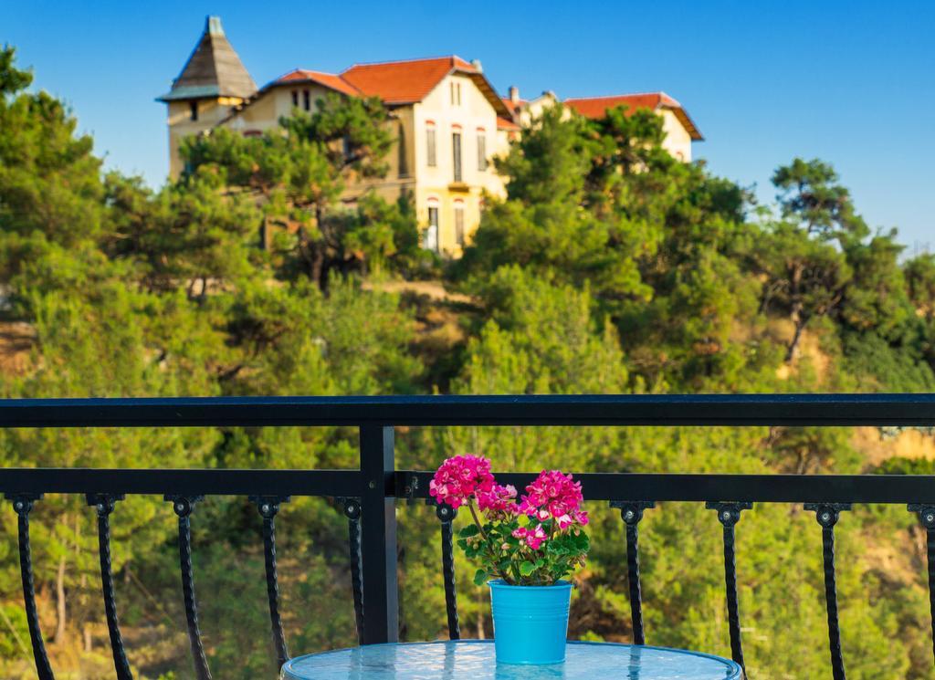 Vintage Place Limenaria (Thasos)