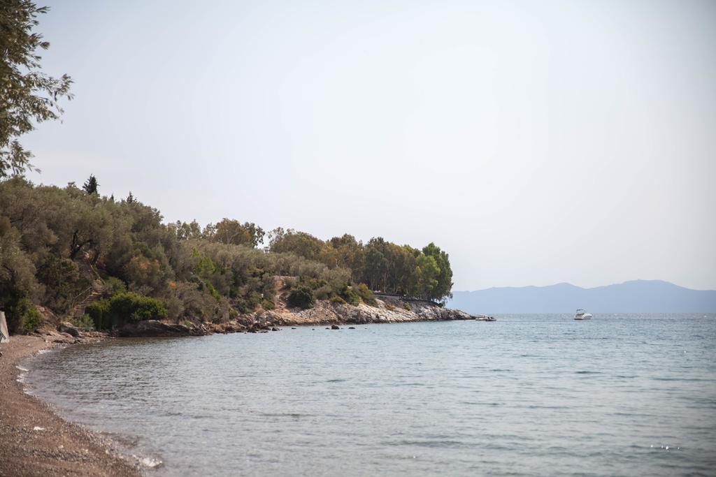 Sea Diamond