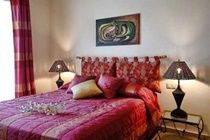 Collection Hotel