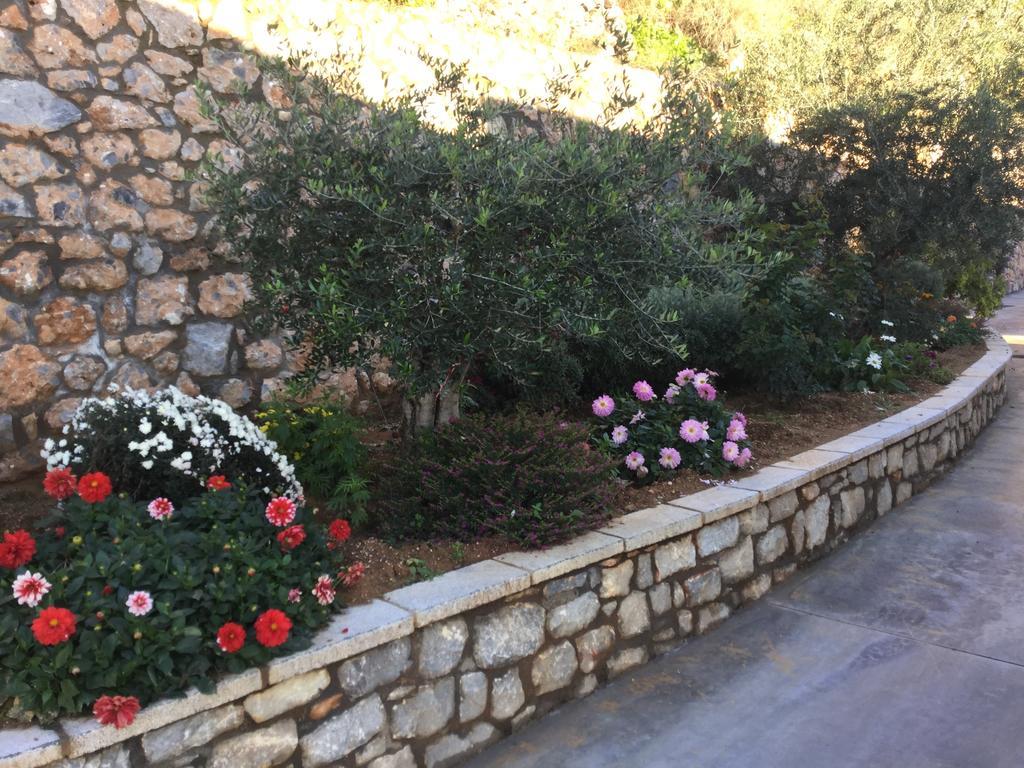 Apartment Petra Thea