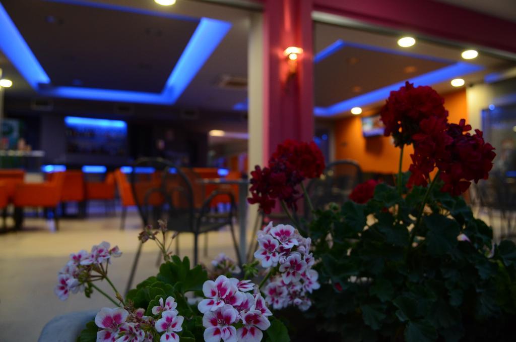 Guest house Papanikolaou