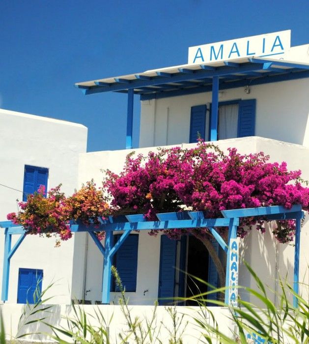 Amalia 3*