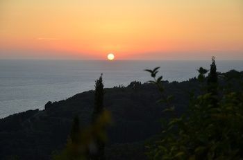 Alexakis * Agios Gordios (Corfu)