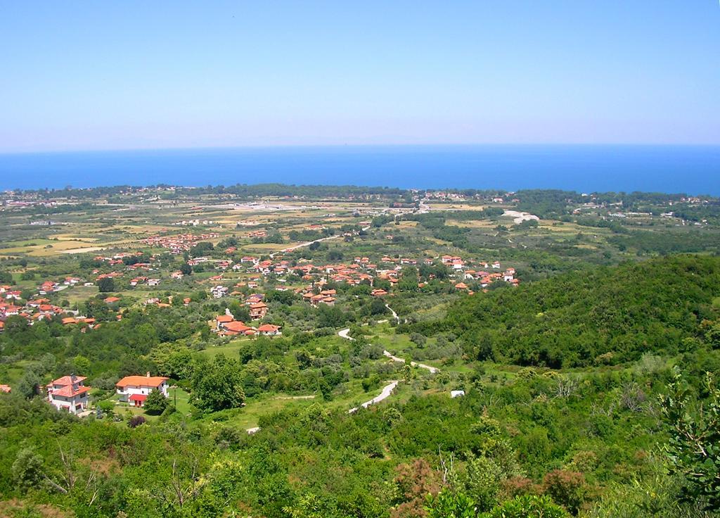Ziogas Apartment Paralia Skotinis